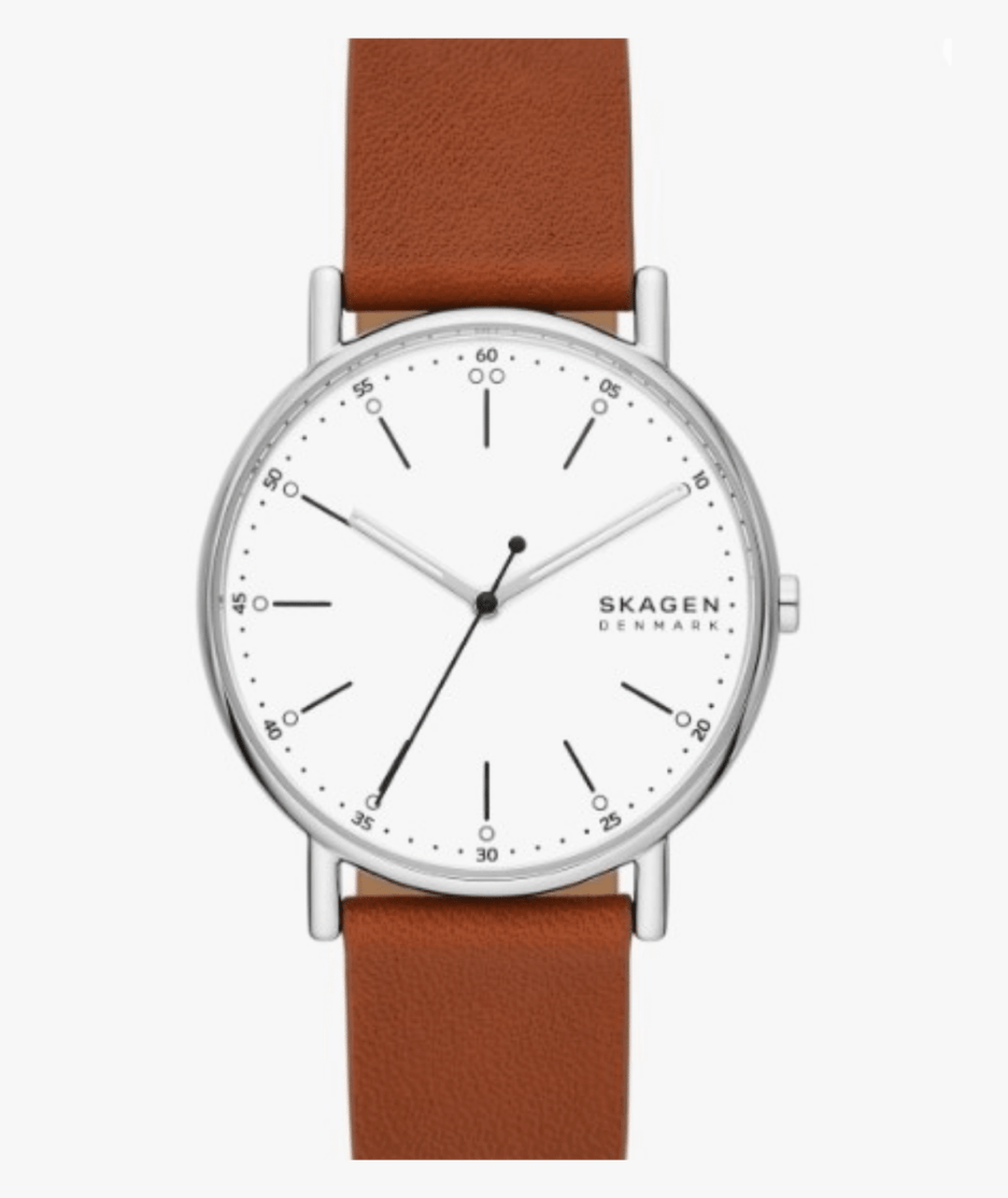 skagen signatur men's watch